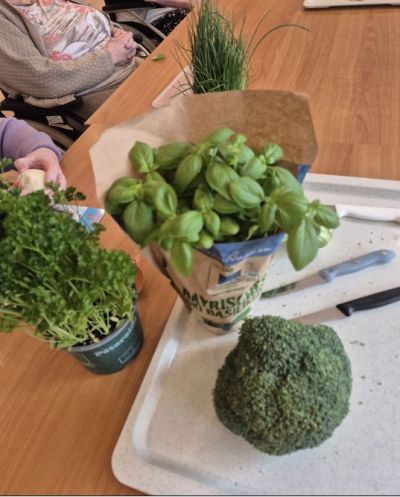 Gründonnerstag bei uns – der Name ist sogar beim Kochen Programm! – Bild 1